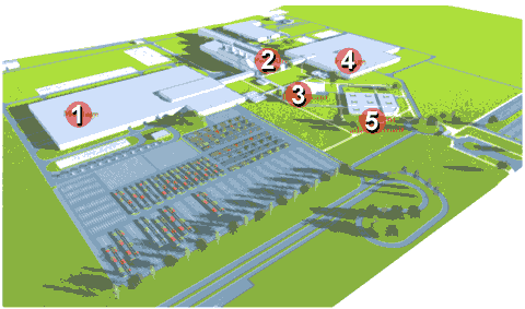 plan-of-brasil-plant.gif (20075 Byte)